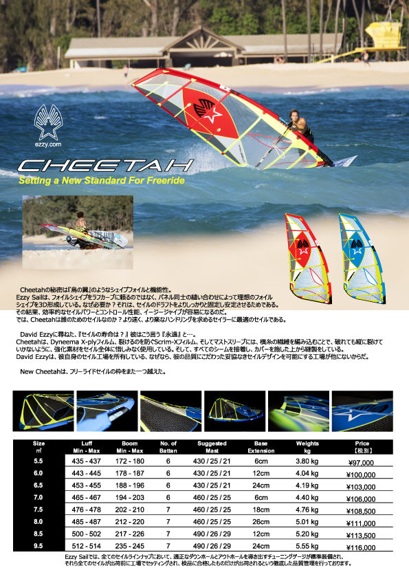 P8)2018_Cheetah