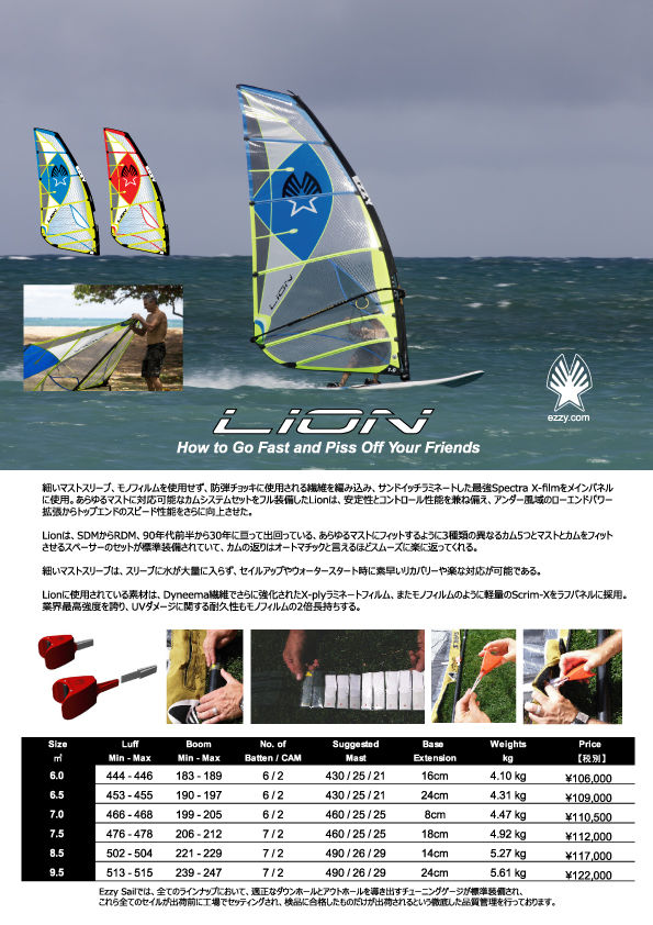 P9)2018_lion4