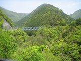 白滝