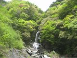 白滝