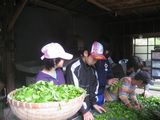 大川村小中学生