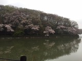 IMG_0924