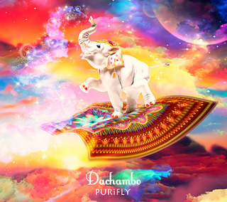dachambo