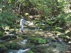 IMG_1421
