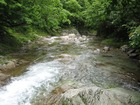 IMG_1397