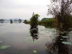 DSCN0191