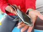 DSCN0245