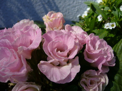 P1070324