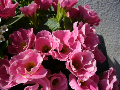 P1070322