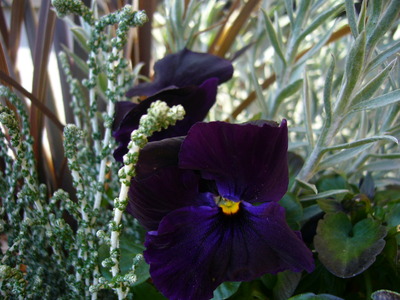 P1070331