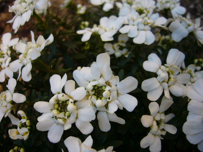 P1070330