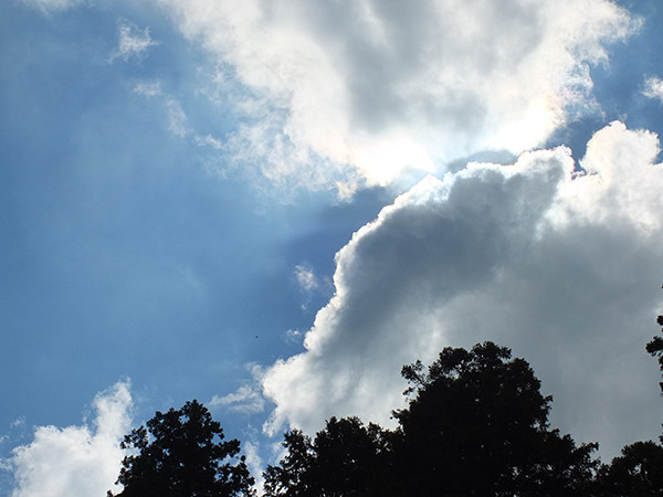 DSCF9752_2