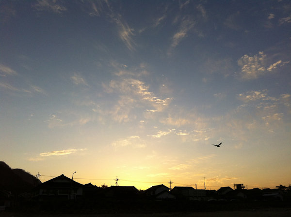 風は心