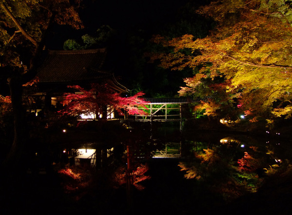 高台寺0