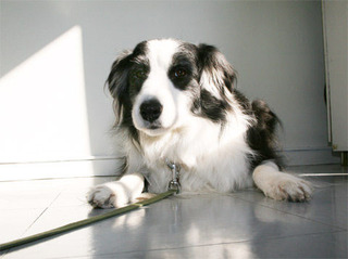 120104_ro03