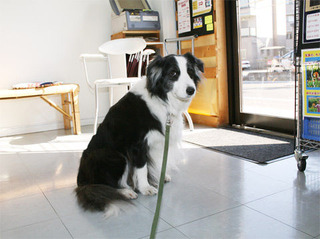 120104_ro02