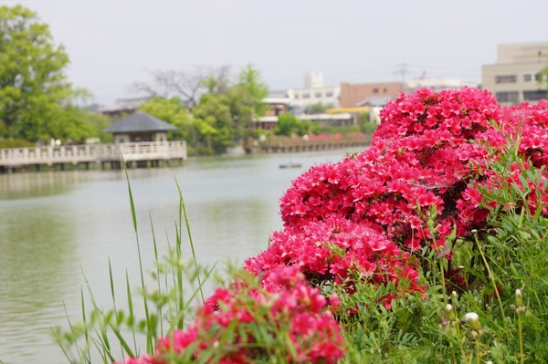 長岡京散策004