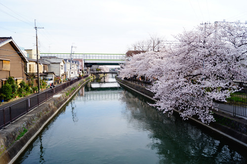 fujinomori12