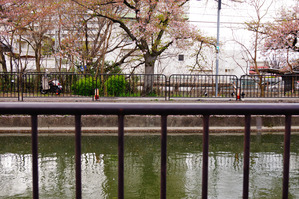 tamakoma_b28