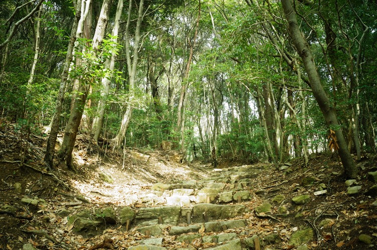 摩耶山022