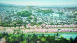 eupho001