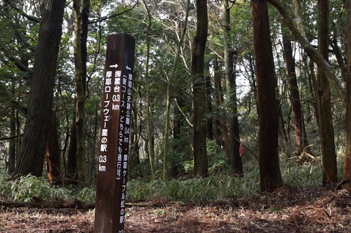 摩耶山038