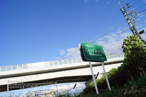 大山崎009