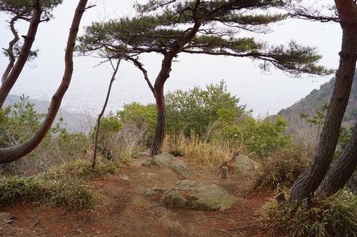 摩耶山072