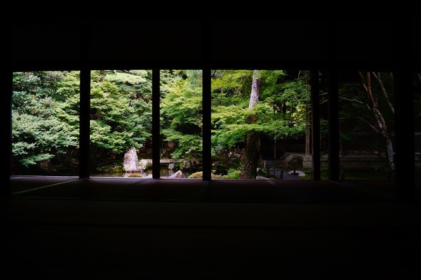 蓮華寺005