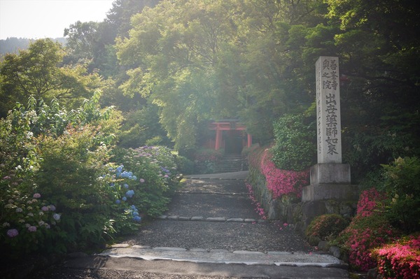 善峯寺033