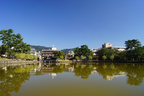 奈良公園003