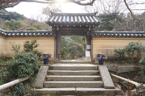 浄瑠璃寺010