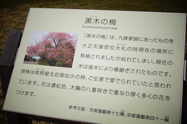 下鴨神社流し雛040