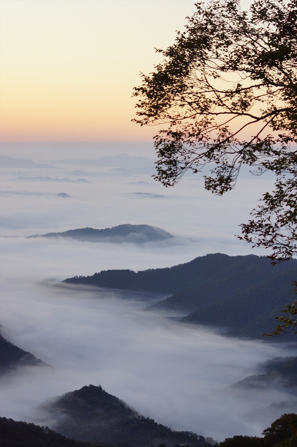 大江山006