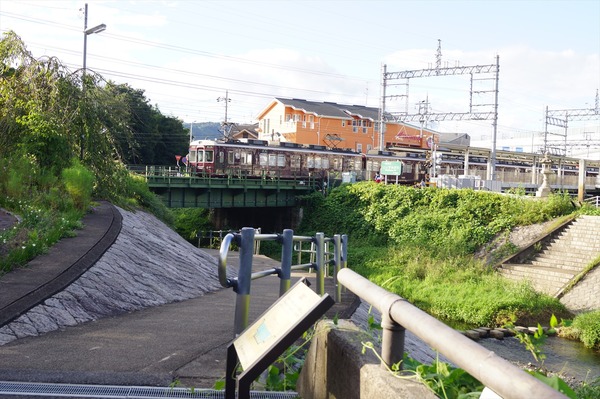 大山崎005