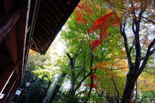 常照寺017