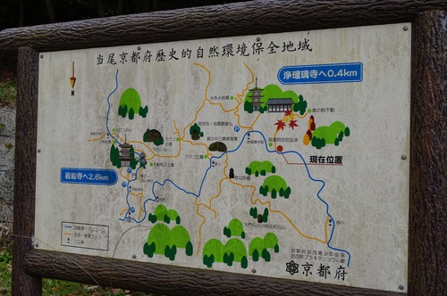 浄瑠璃寺006