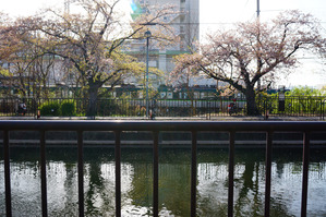 tamakoma_b29