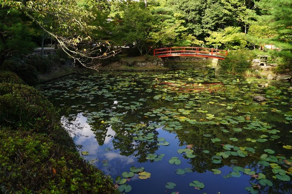 大原野034
