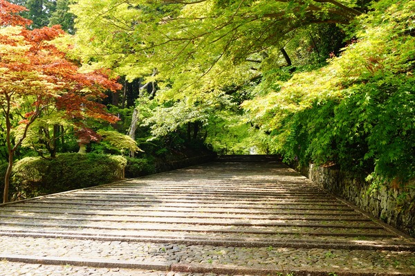 長岡京散策031
