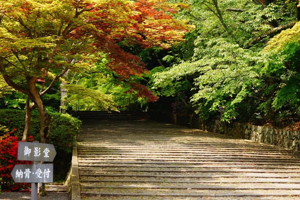 長岡京散策018