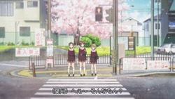 eupho004
