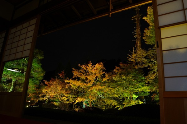 雲龍院006