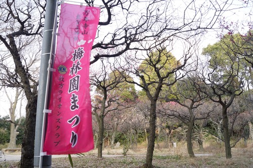 意賀美神社016