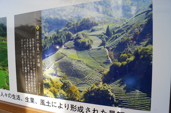 和束町013