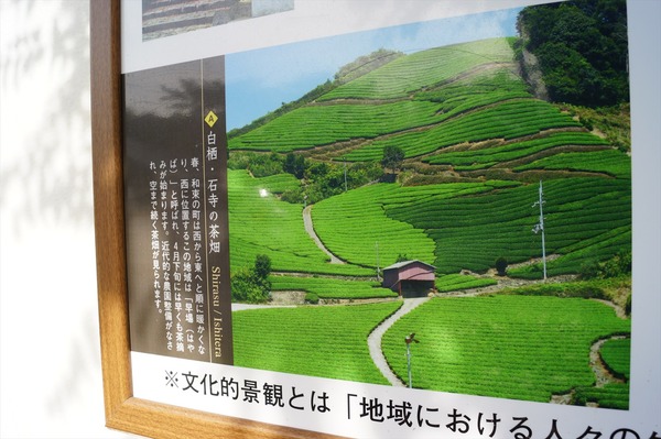 和束町012