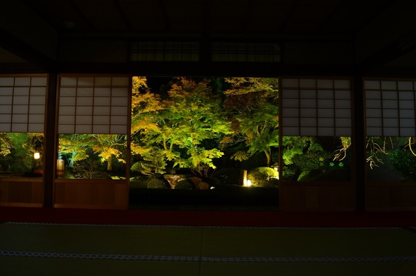 雲龍院007