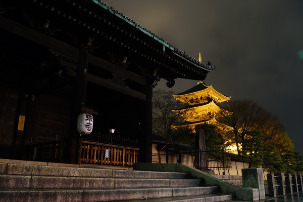 東寺夜桜001