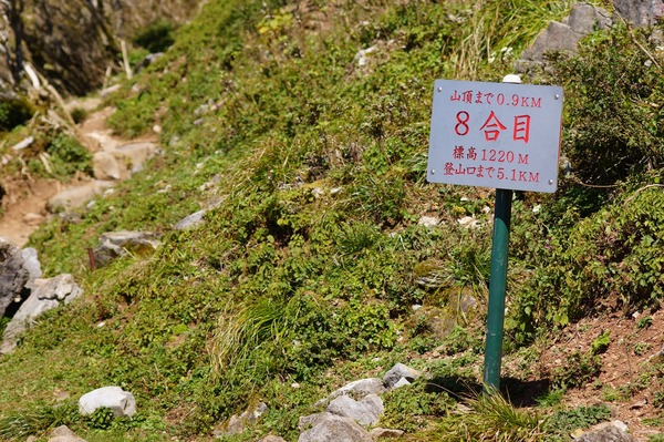 伊吹山060