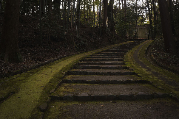 正伝寺003